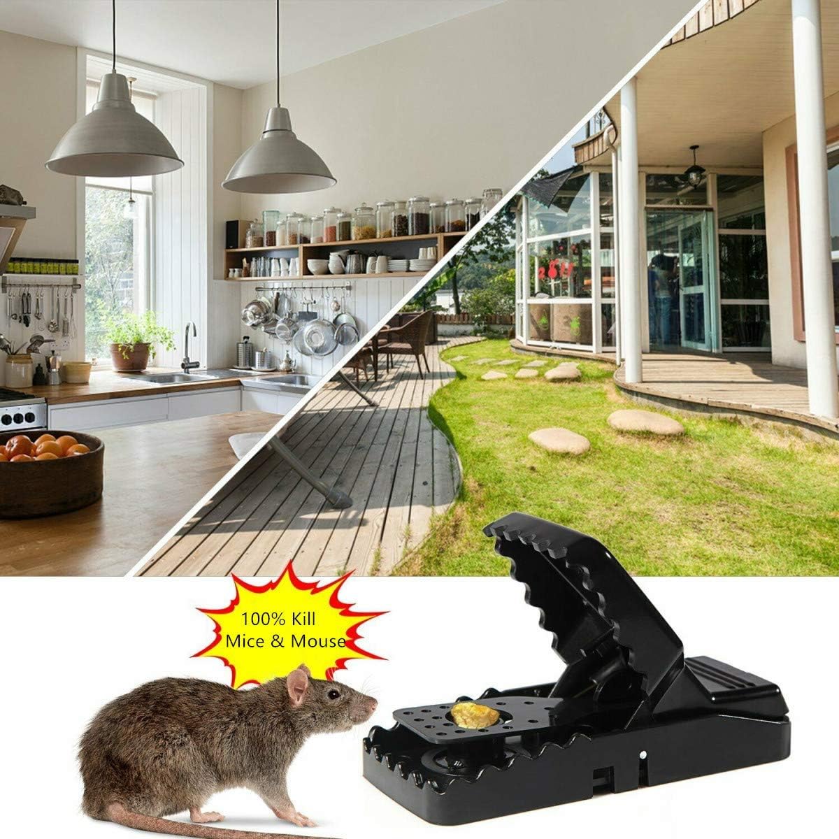 pack of two Universal Mouse Catcher, Indoor Reusable Rat Trap t4trendz